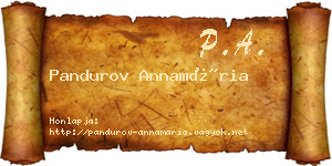 Pandurov Annamária névjegykártya